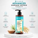 Pilgrim Korean Rice Water & Collagen Advanced Damage Repair Shampoo – image 2