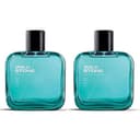 Wild Stone Edge Perfume 100ml (Pack of 2) – image 1